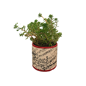 Maceta cil?ndrica moderna